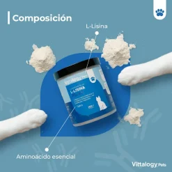 Vittalogy L-Lisina Polvo 100 gr