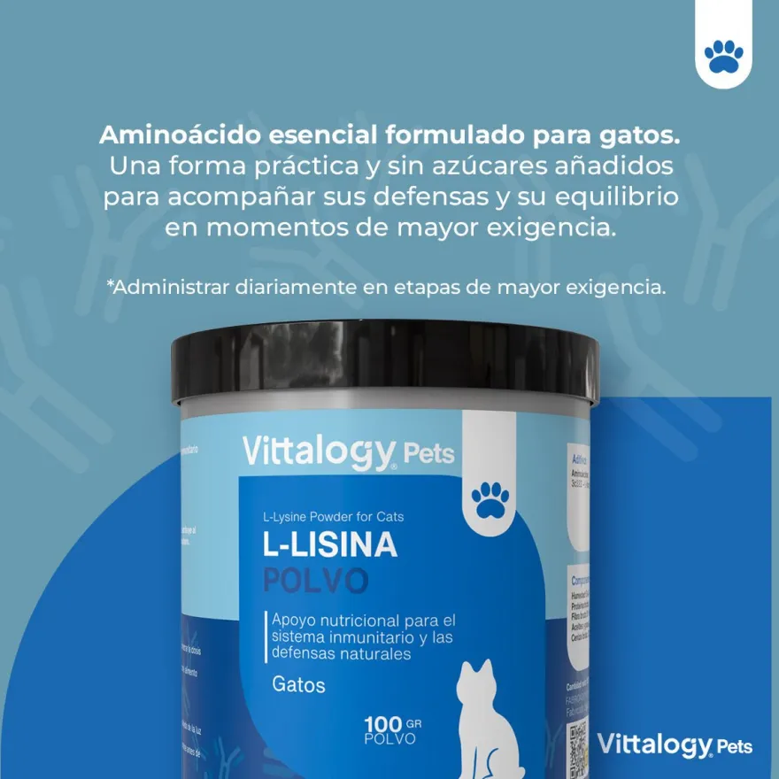 Vittalogy L-Lisina Polvo 100 gr
