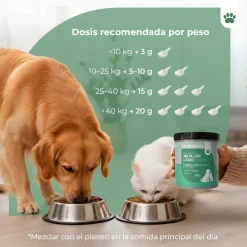 Vittalogy Mejillón de Labio Verde 2x100 gr【PACK AHORRO】