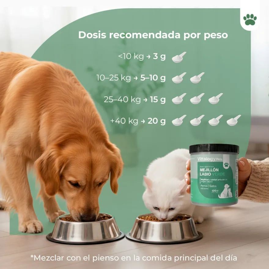 Vittalogy Mejillón de Labio Verde 2x100 gr【PACK AHORRO】