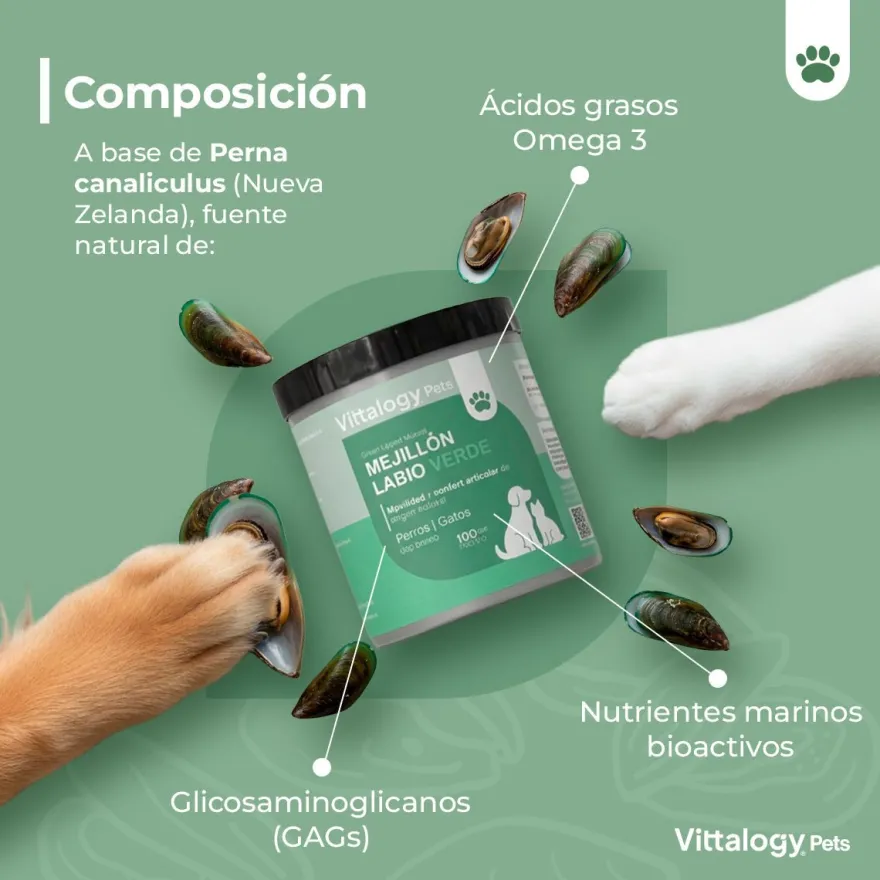 Vittalogy Mejillón de Labio Verde 2x100 gr【PACK AHORRO】