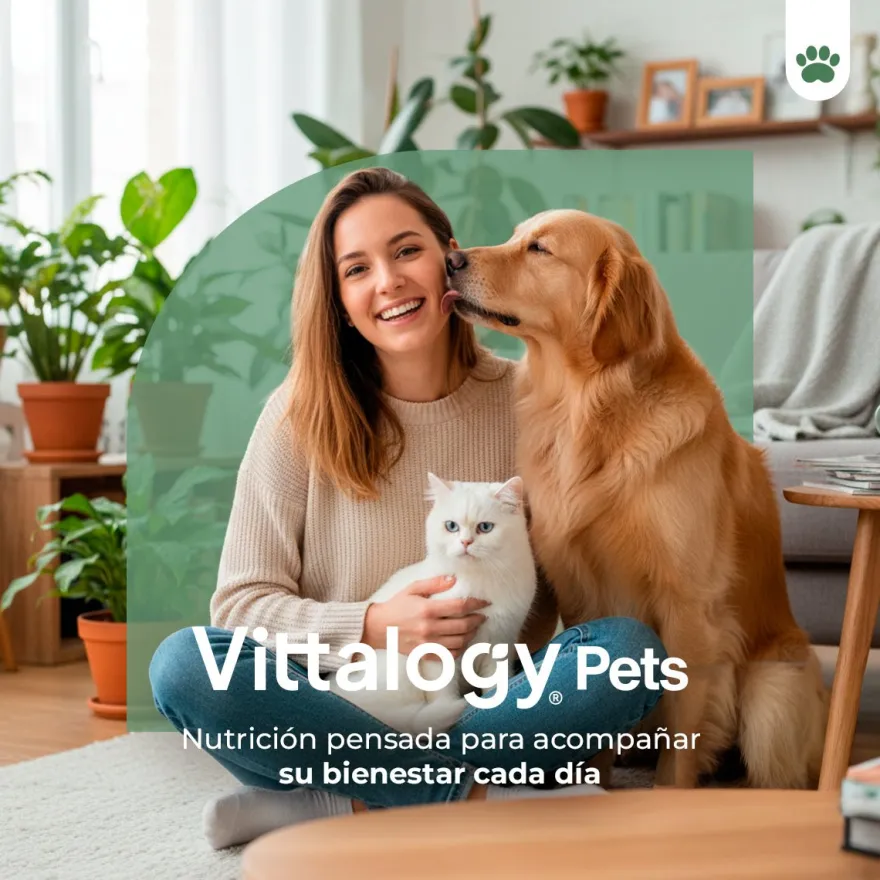 Vittalogy Mejillón de Labio Verde 100 gr