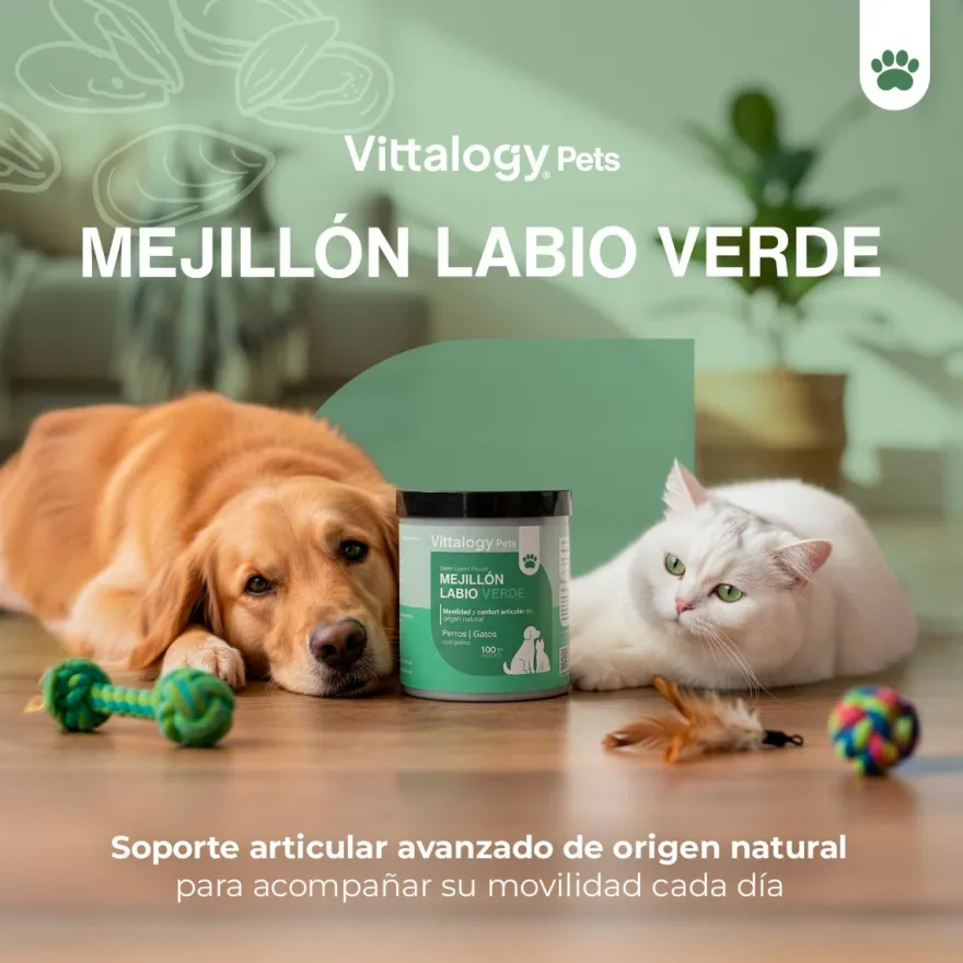 Vittalogy Mejillón de Labio Verde 100 gr