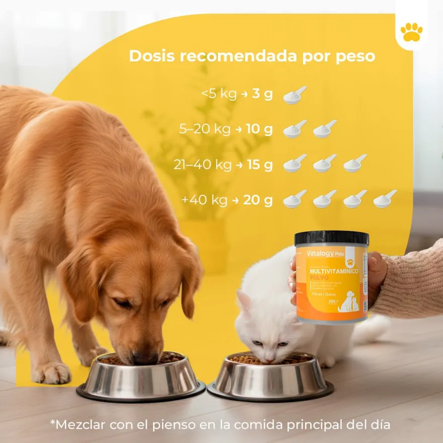 Vittalogy Multivitamínico 100 gr