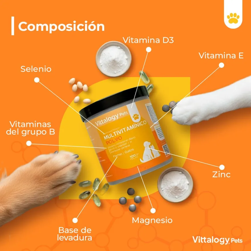 Vittalogy Multivitamínico 100 gr