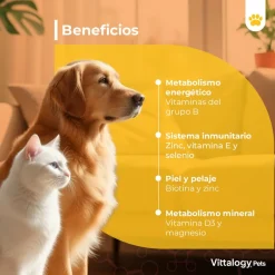 Vittalogy Multivitamínico 3x100 gr【PACK AHORRO】