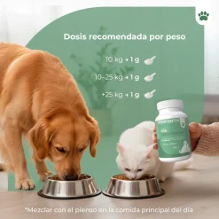 Vittalogy Pre-Probióticos 3x100 gr【PACK AHORRO】