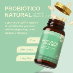 Vittalogy Probiotics + Enzymes 2x60 Comprimidos【PACK AHORRO】
