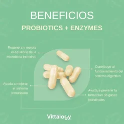 Vittalogy Probiotics + Enzymes 60 Comprimidos