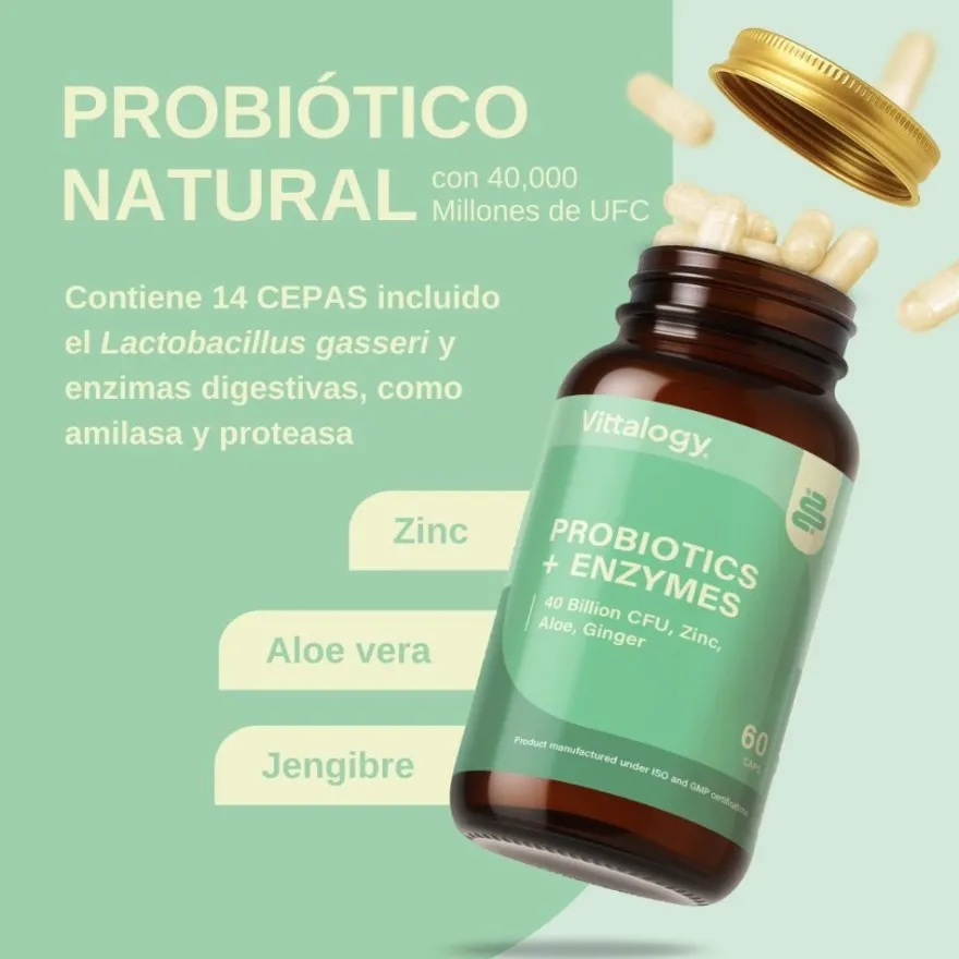 Vittalogy Probiotics + Enzymes 60 Comprimidos