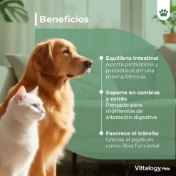 Vittalogy Probióticos 100 gr