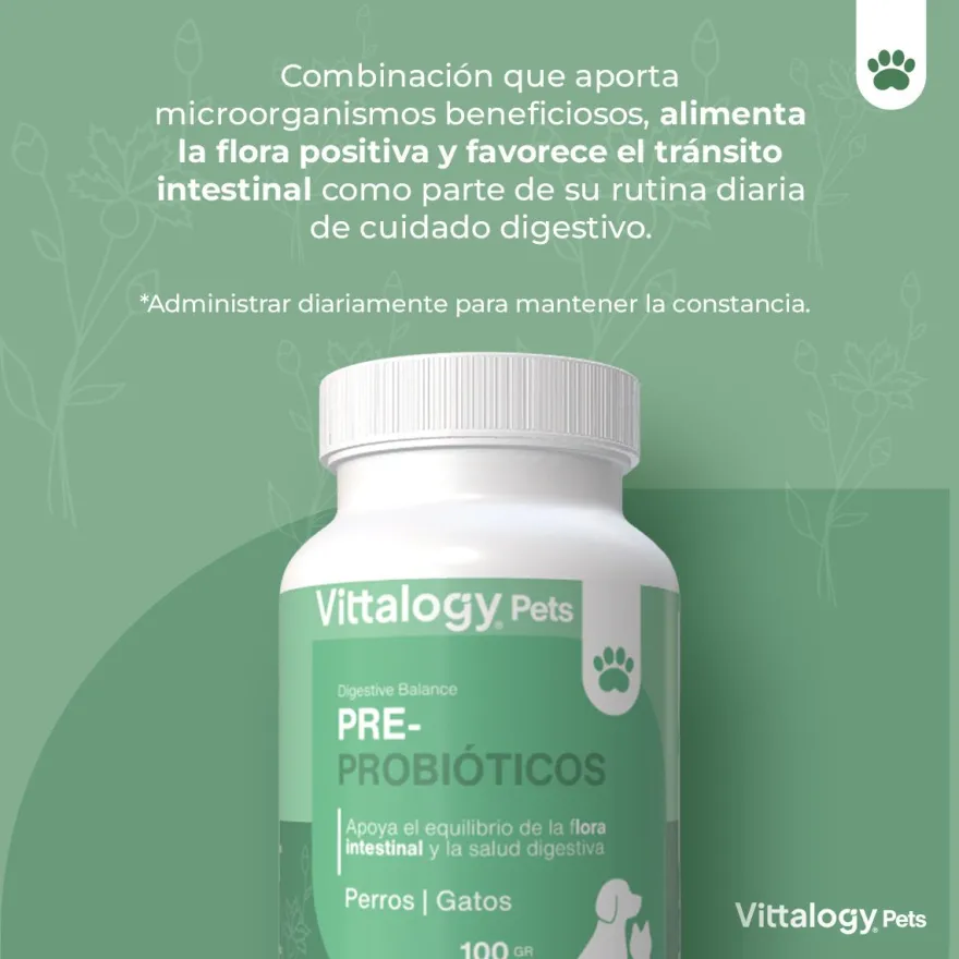 Vittalogy Probióticos 100 gr