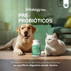 Vittalogy Probióticos 100 gr