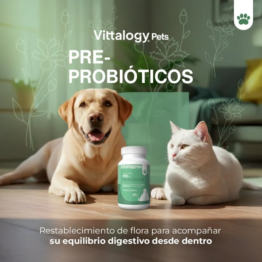 Vittalogy Probióticos 100 gr