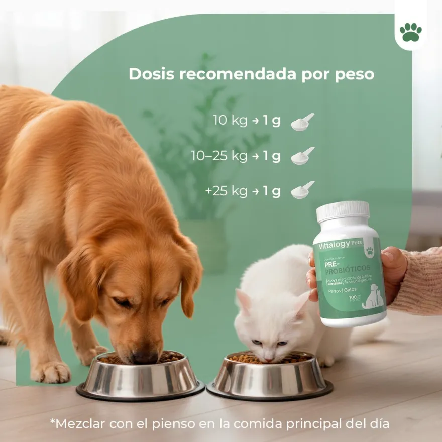 Vittalogy Probióticos 100 gr