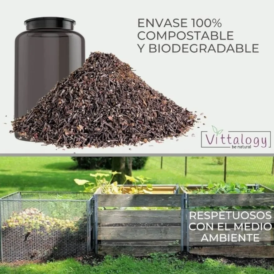 Vittalogy Vitamina D3 Premium Vegan 90 Cápsulas