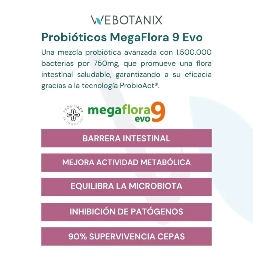 WeBotanix Probiotax Microbiota cacao 150g