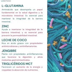 WeBotanix Probiotax Microbiota 30 cápsulas