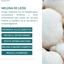 WeBotanix Probiotax Microbiota 30 cápsulas