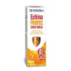 Ynsadiet Echina Propos Spray Bucal 20 ml