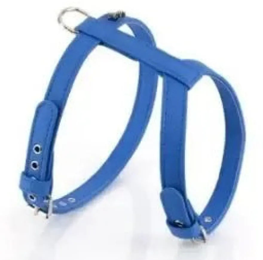 Youpet Arnes Elements Azul 25/30-35/45 A18 1un