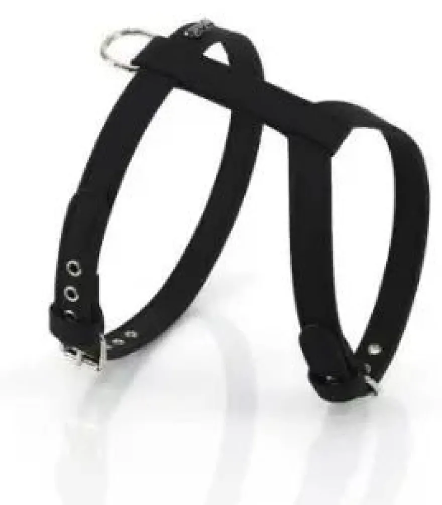Youpet Arnes Elements Negro 40/45-50/60 A25 1un