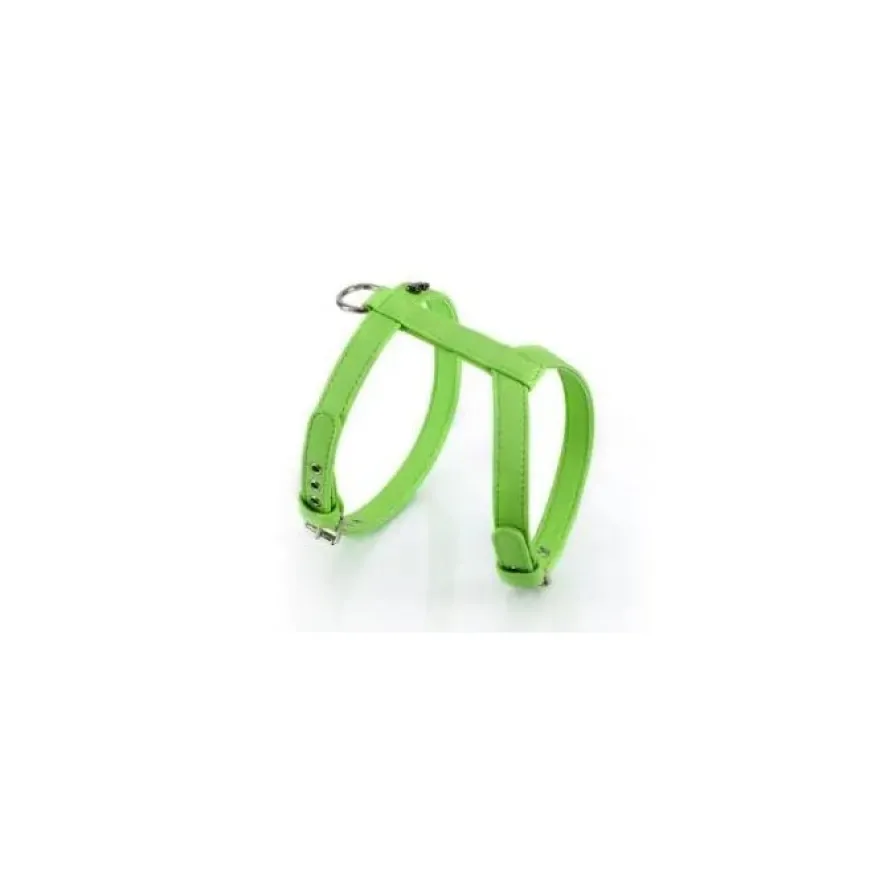 Youpet Arnes Elements Verde 35/40-45/55 A25 1un