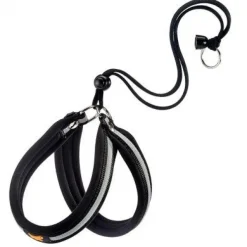 Youpet Arnes Little Co1F Oro A16 C400/29-35 P550/44-50 1un