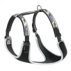 Youpet Arnes Little Co1F Oro A16 C400/29-35 P550/44-50 1un