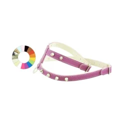 Youpet Arnes Little Co1F Violeta A16 C400/29-35 P550/44-50 1un