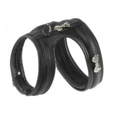 Youpet Arnes Little Fucxia A22 C500/39-45 P650/54-60 1un