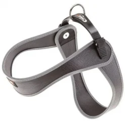 Youpet Arnes Little Fucxia A22 C500/39-45 P650/54-60 1un