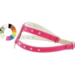 Youpet Arnes Little Oro A22 C450/34-40 P600/49-55 1un