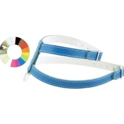 Youpet Arnes Little Pt A22 C450/34-40 P600/49-55 1un