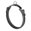 Youpet C. Mountain Piel Con 2F Plata L400 A25 1un
