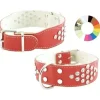 Youpet Collar Bull-Dog 35-44 Ajustable, 1 ud