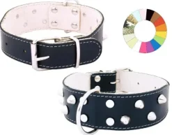 Youpet Collar Bull-Dog 35-44 Ajustable, 1 ud