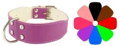 Youpet Collar Bull-Dog Am 30-39 L450 A40 1un