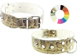 Youpet Collar Bull-Dog Co1F Marrón 55-64 L700 A40 1un