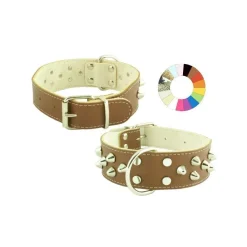 Youpet Collar Bull-Dog Co3F Violete 45-54 L600 A40 1un