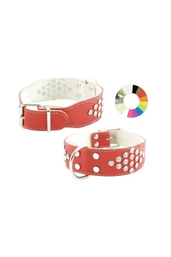 Youpet Collar Bull-Dog Fant Fucxia 40-49 L550 A40 1un