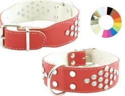 Youpet Collar Bull-Dog Fant Rs 55-64 L700 A40 1un