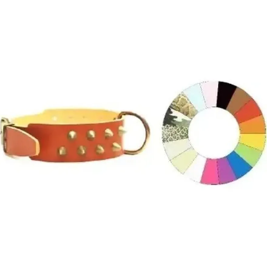 Youpet Collar Bull-Hard Cono2F Mr 3 40-49 L550 A40 1un