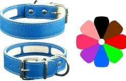 Youpet Collar Carrier Bco 63-72 L800 A40 1un