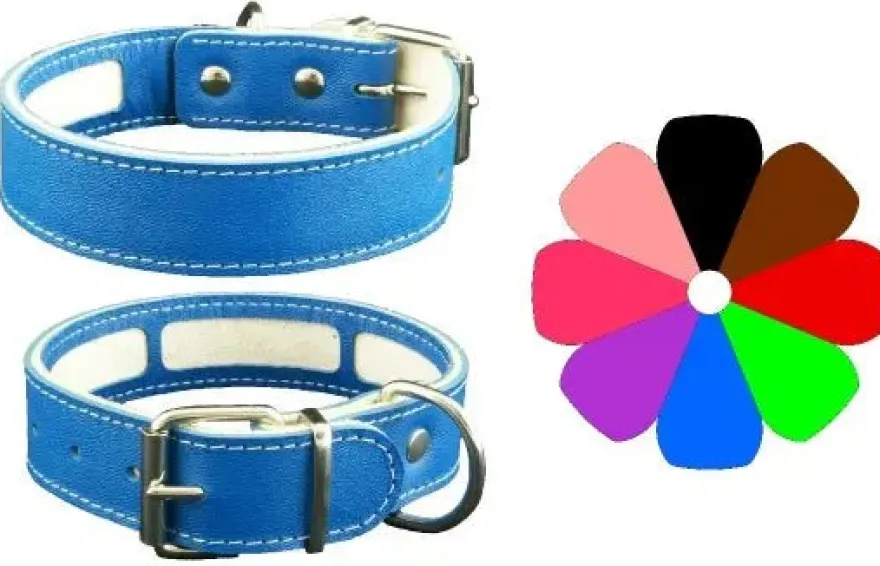 Youpet Collar Carrier Bco 63-72 L800 A40 1un