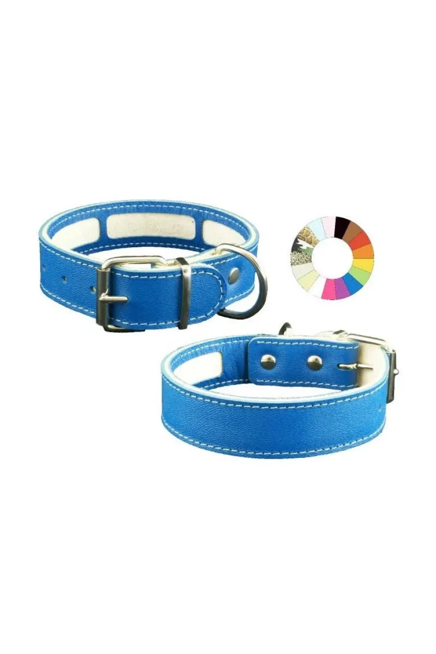Youpet Collar Carrier Mimt 27-35 L350 A30 1un