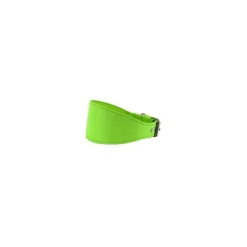 Youpet Collar Elements Galgo Verde 22/27 L350 A60 1un