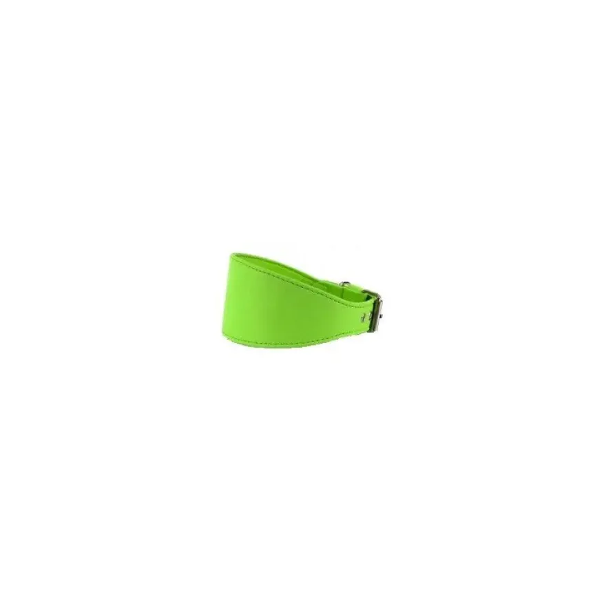 Youpet Collar Elements Galgo Verde 33/38 L450 A60 1un