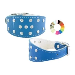 Youpet Collar Galgo Fant 3F Mimt 22-32 L350 A50 1un