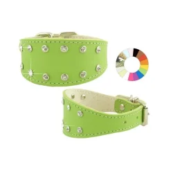 Youpet Collar Galgo Fant 2F Mimt 22-32 L350 A50 1un